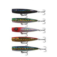 Jigs Rigs and Lures