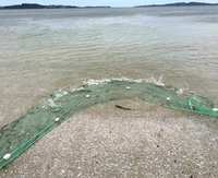 Drag Nets for NZ all Fish