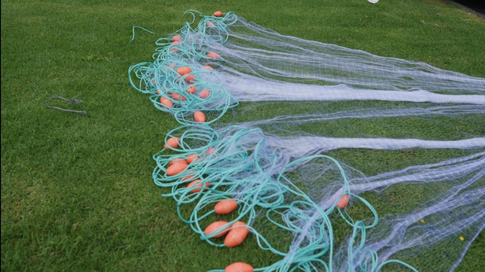 0.35mm 10m to 100m Herring Bait Fish Nets - Action Outdoors