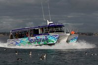 Seahawk Fishing Charter