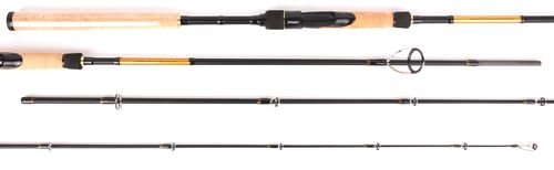Catch Pro Series 2pc Spin Rod - 7ft 3in - 4-8KG