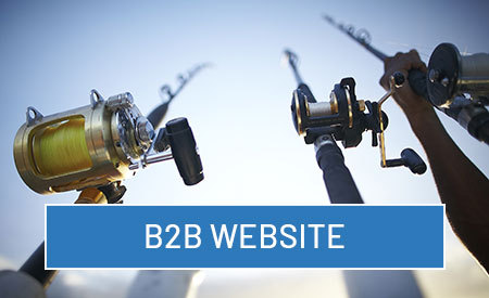 B2B Website