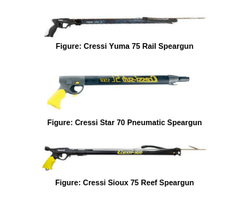 Spearfishing Guide - What you need to know ? - Action Outdoors